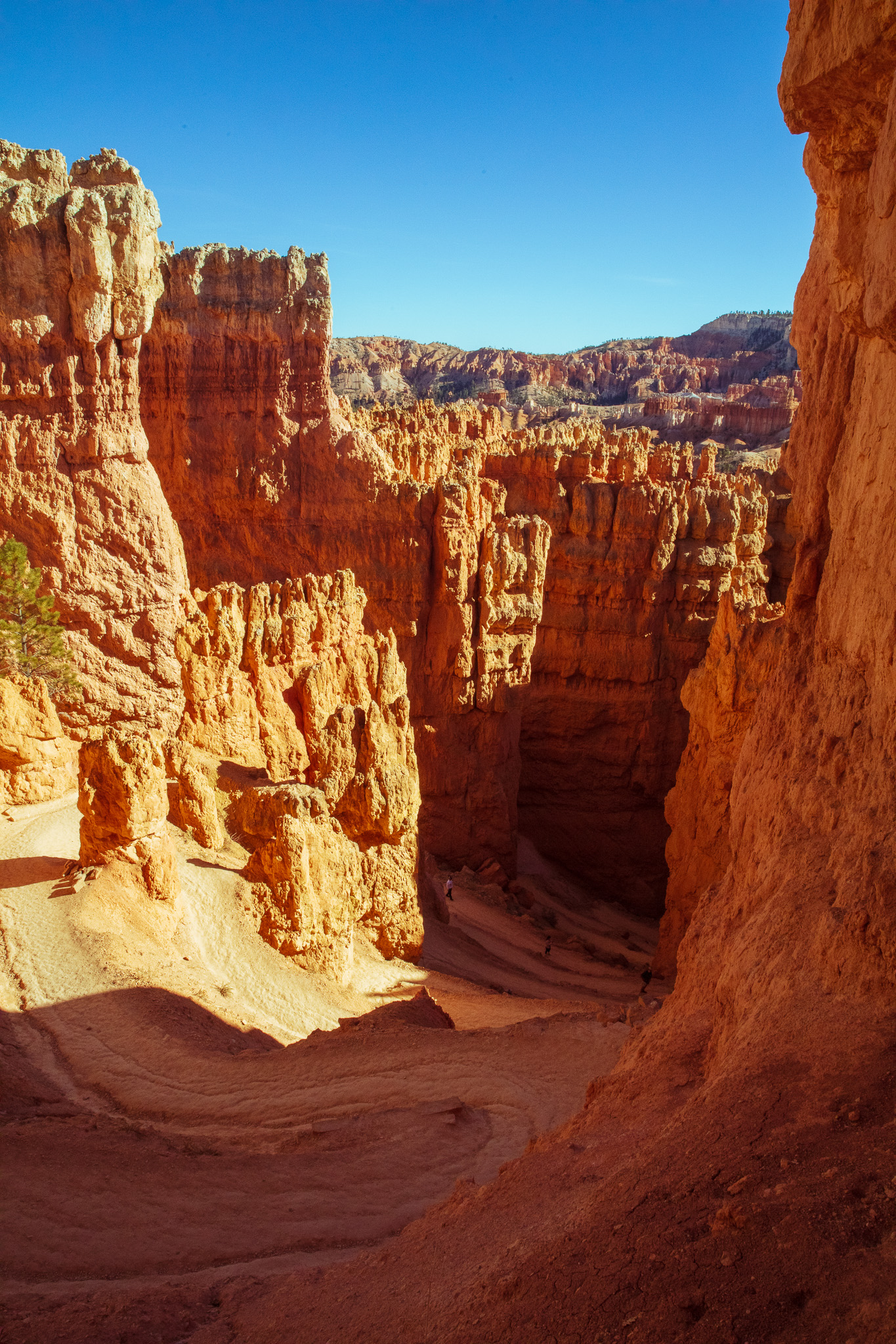 Photo of Bryce Canyon