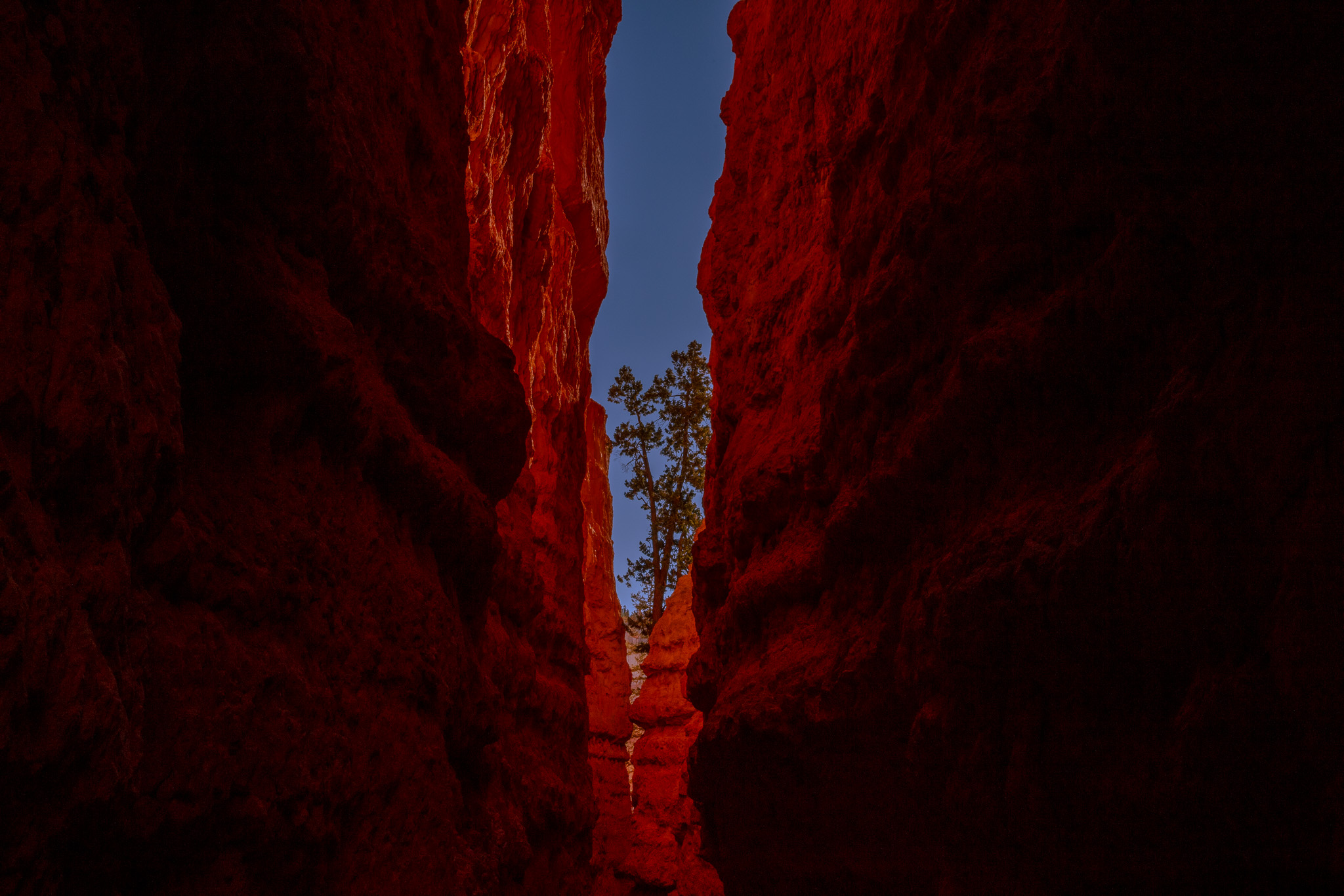 Photo of Bryce Canyon
