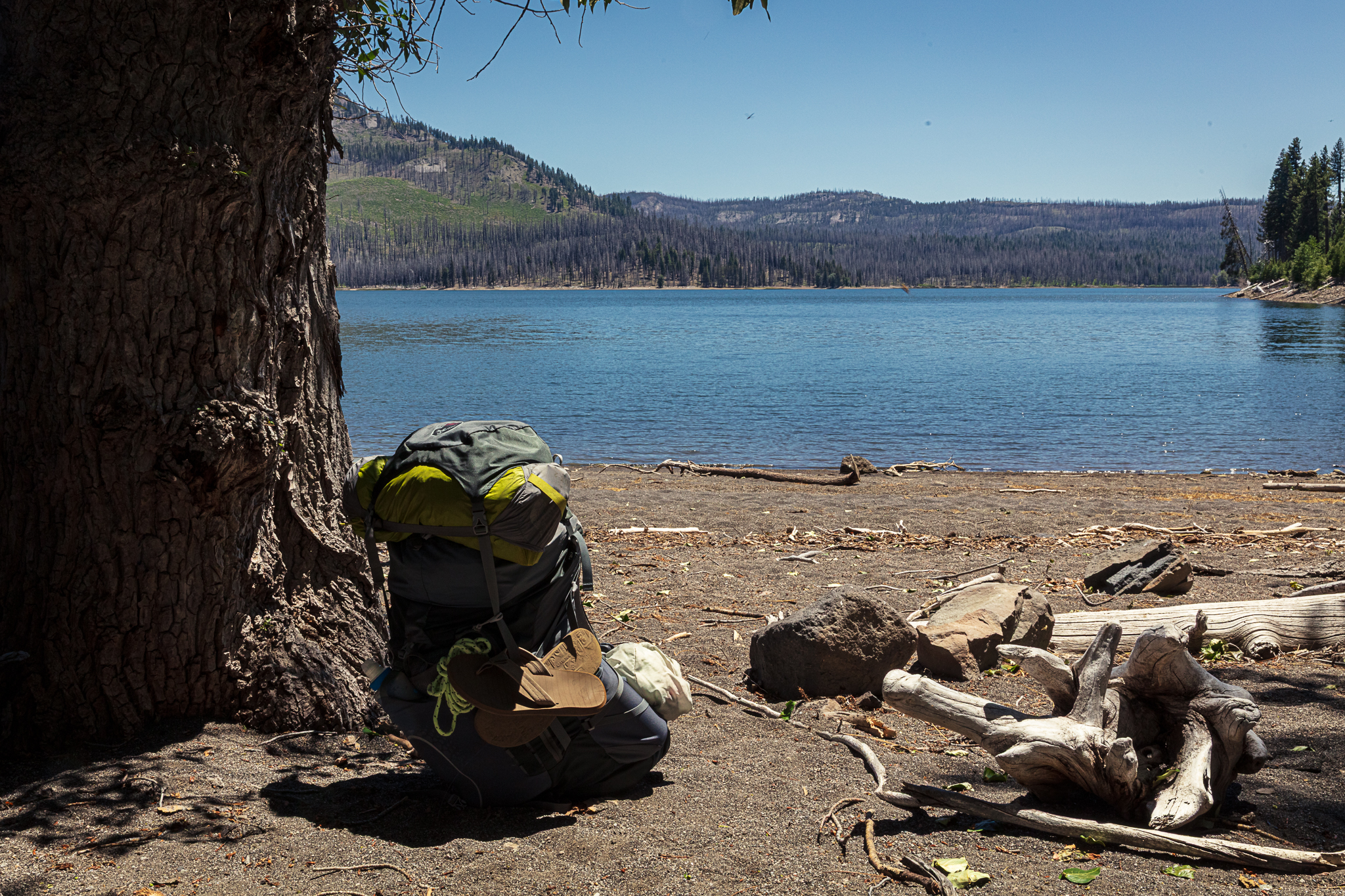 Photo of Lassen Volcanic