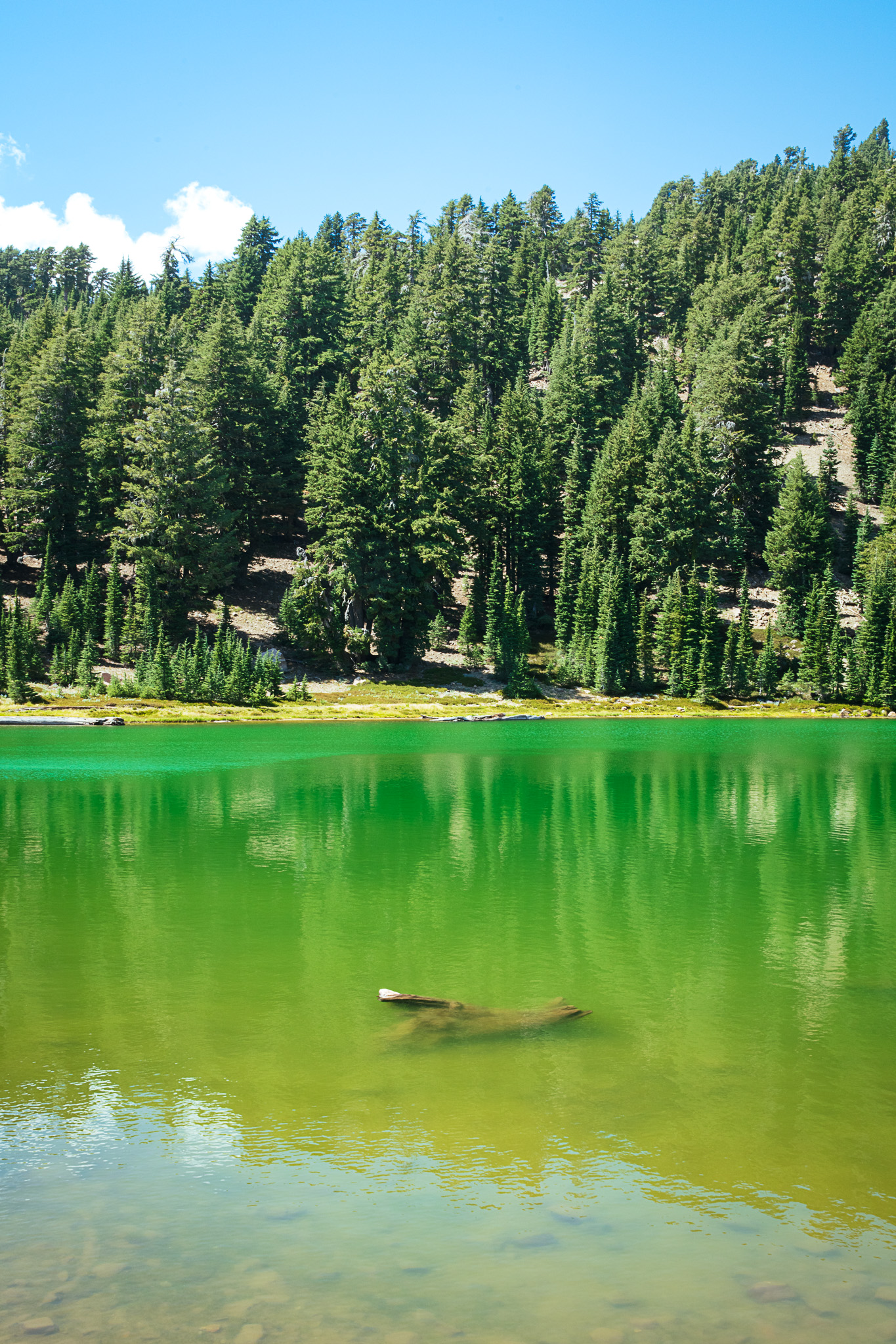 Photo of Lassen Volcanic