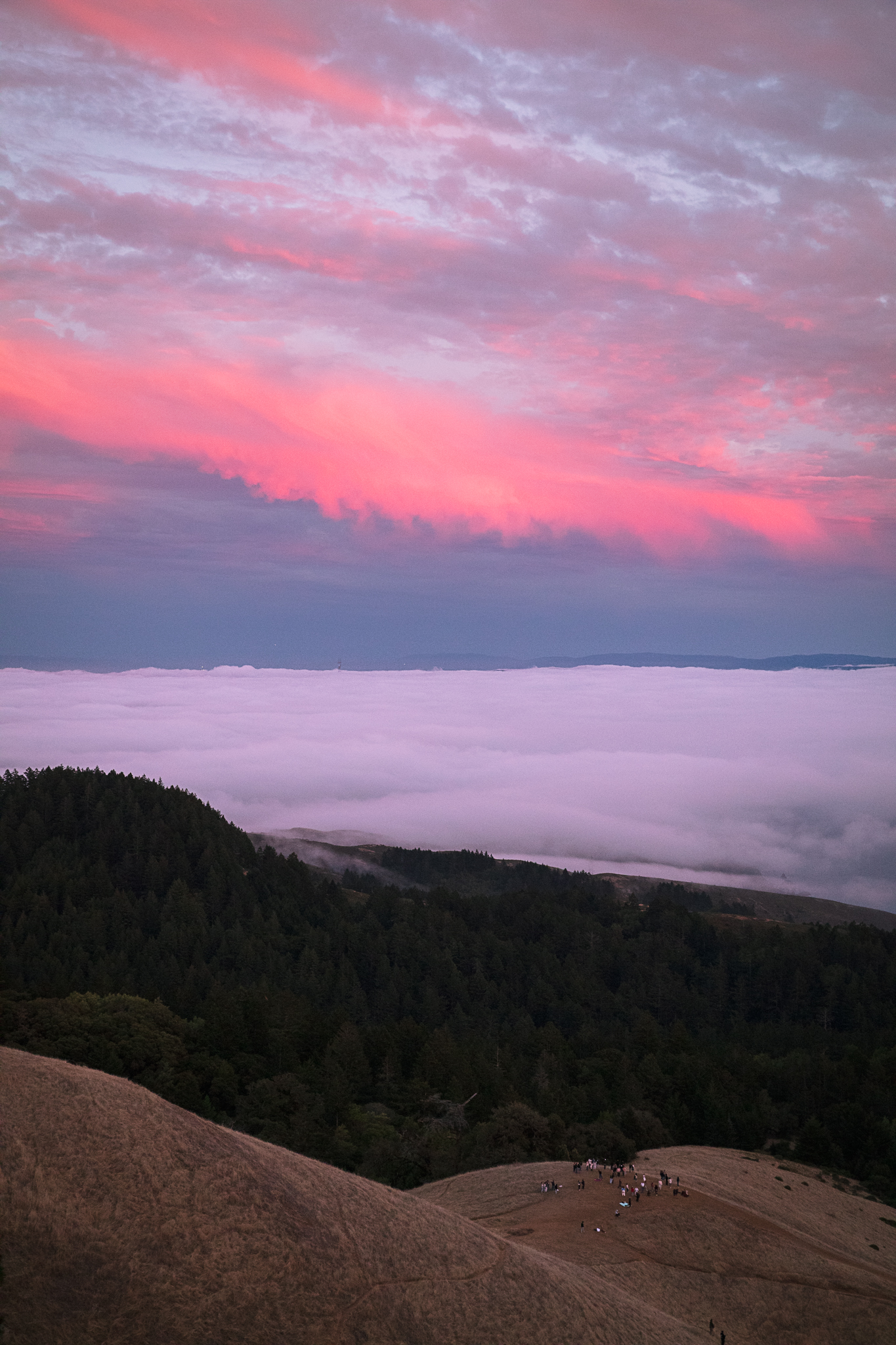 Photo of Muir Woods