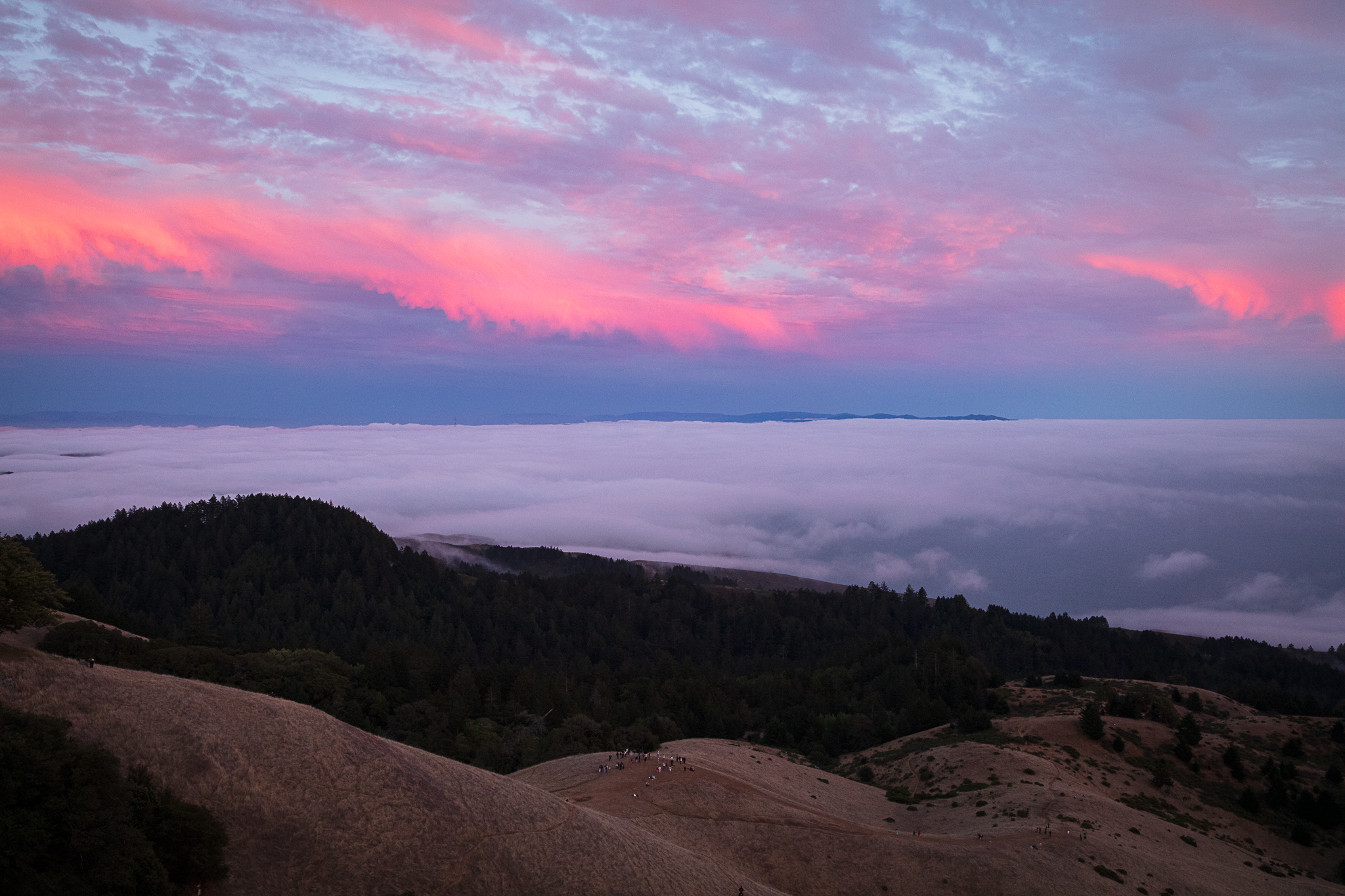 Photo of Muir Woods